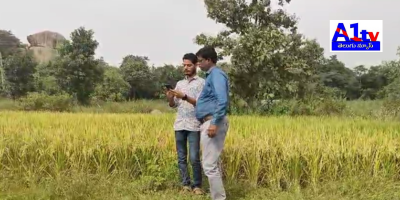 A digital crop survey has been initiated in Ramayampet, overseen by Assistant Agricultural Officer Rajanarayana. The survey helps plan fertilizers and seeds for future seasons.