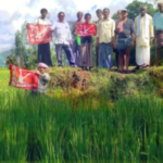 ఉత్తరాంధ్ర ప్రాంతీయ సదస్సుకు రైతుల పిలుపు The Andhra Pradesh Farmers' Association is organizing a regional conference in Anakapalli on October 22 to address irrigation issues affecting farmers. The conference aims to find long-term solutions to the water crisis.