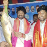 A free fish seed distribution program was held in Ramagundam under the Telangana government, attended by local leaders to support fishermen's families.