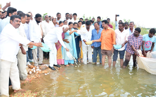 MLA Kadiyam Srihari emphasized the collective responsibility to protect water bodies and nature during the fish seed distribution program at Dharmasagar Reservoir.
