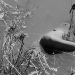 In Narsampalli village, a 50-year-old man named Udita Srinivas drowned while retrieving fishing nets from a lake. Police are investigating the incident.