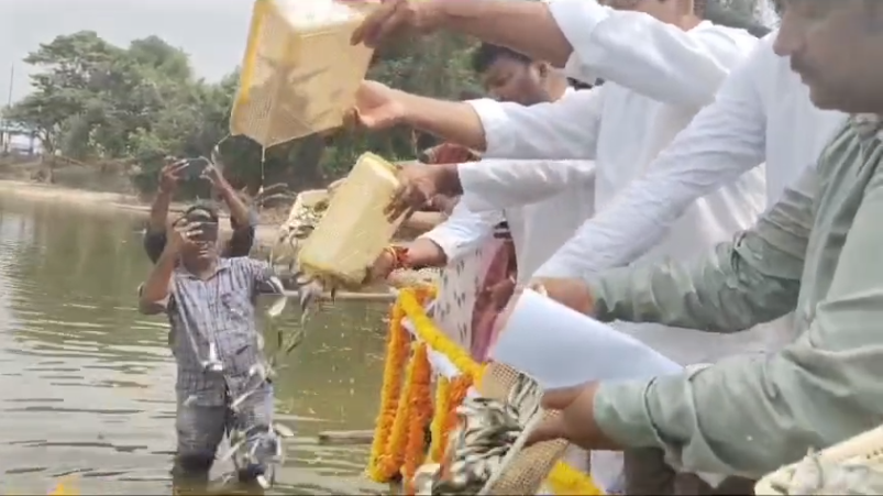 In Khammam district, Minister Ponguleti Srinivasa Reddy released free fish seeds at the Paleru Reservoir, ensuring support for fishermen affected by the recent rains and promising additional assistance.
