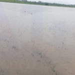 Kadapa District Collector Shivasankar Loteti announced a holiday for all schools and colleges on October 16, 2024, due to heavy rainfall caused by a cyclone.