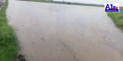Kadapa District Collector Shivasankar Loteti announced a holiday for all schools and colleges on October 16, 2024, due to heavy rainfall caused by a cyclone.