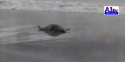 An unidentified woman's body washed ashore at Maipadu Beach. The police identified her as Annama Prameela from Nellore, who went missing after an argument with her husband.