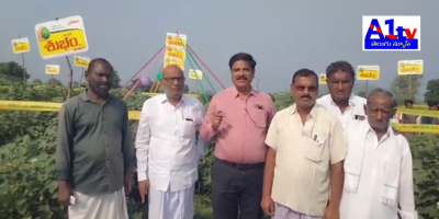 Farmers in Ruyyadi showcased high-yielding Ankur Shubham cotton seeds. Local leaders honored the farmers for adopting the seed, leading to increased profits.