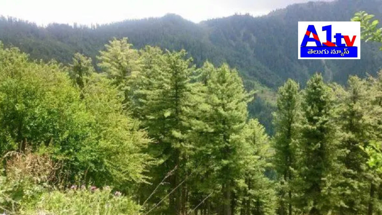 The Chief Minister has instructed district officials to plant trees from August 30 to Van Samaradhana for environmental preservation. Aiming to protect nature, this initiative will help future generations.