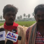CPI leaders in Kakinada District demanded immediate government intervention to set up procurement centers for paddy and ensure fair prices for farmers. They criticized the lack of support and compensation for crop losses due to floods.