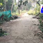 Residents of Dolapeta village face severe challenges due to the lack of proper road connectivity, affecting access to emergency and healthcare services.