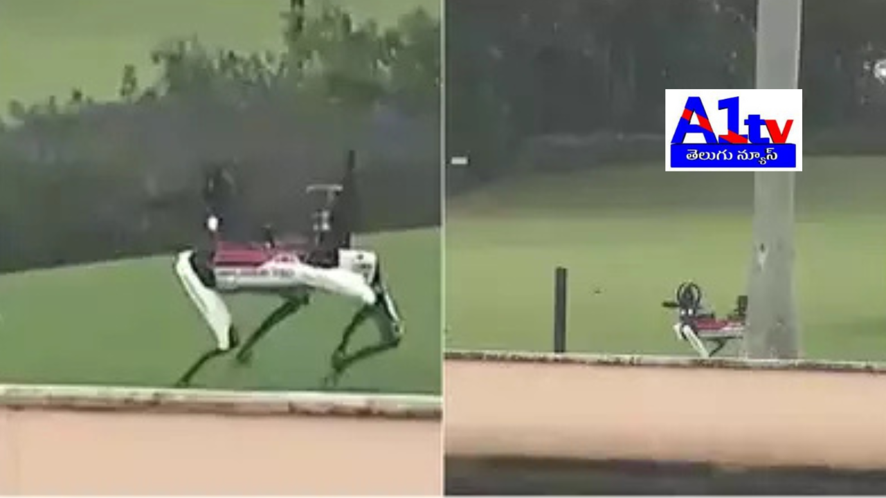 Robo Dogs Provide Security Around Donald Trump’s Residence