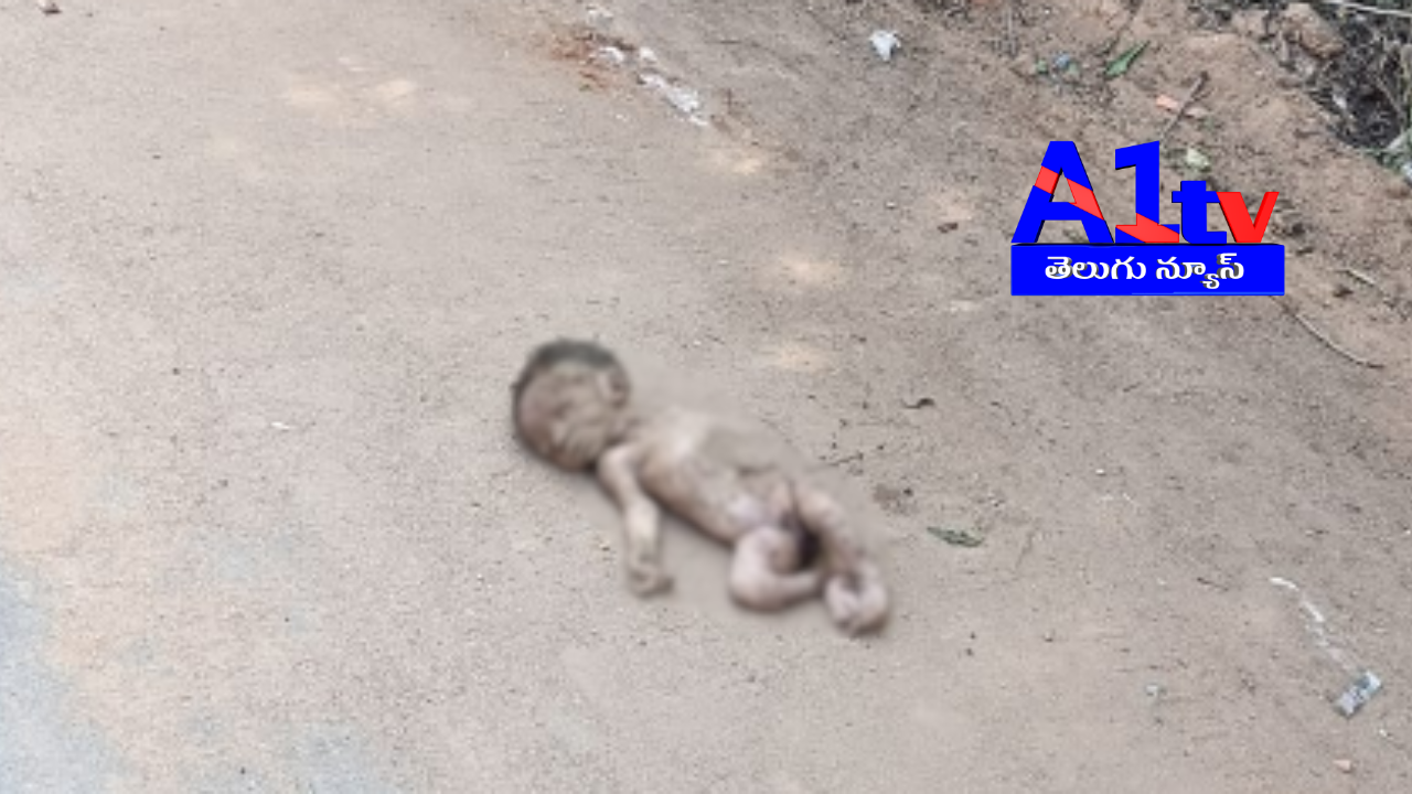 A baby boy's body was found near a chocolate factory in Shadnagar. Local residents suspect the baby was abandoned after birth and later found by dogs on the roadside.