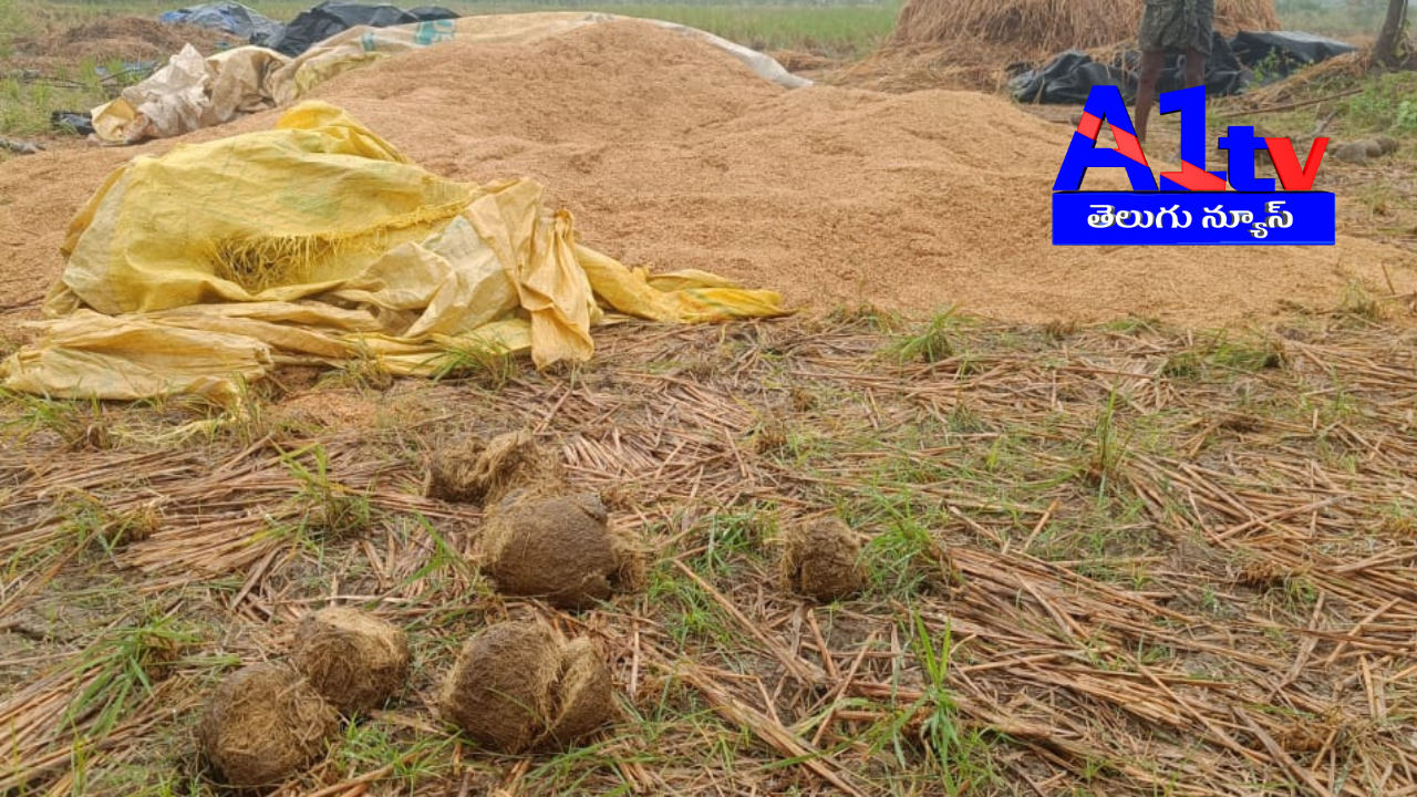 Elephant herds from Odisha's forests have caused crop damage and distress in Bhamini, prompting farmers to demand immediate compensation and safety measures.