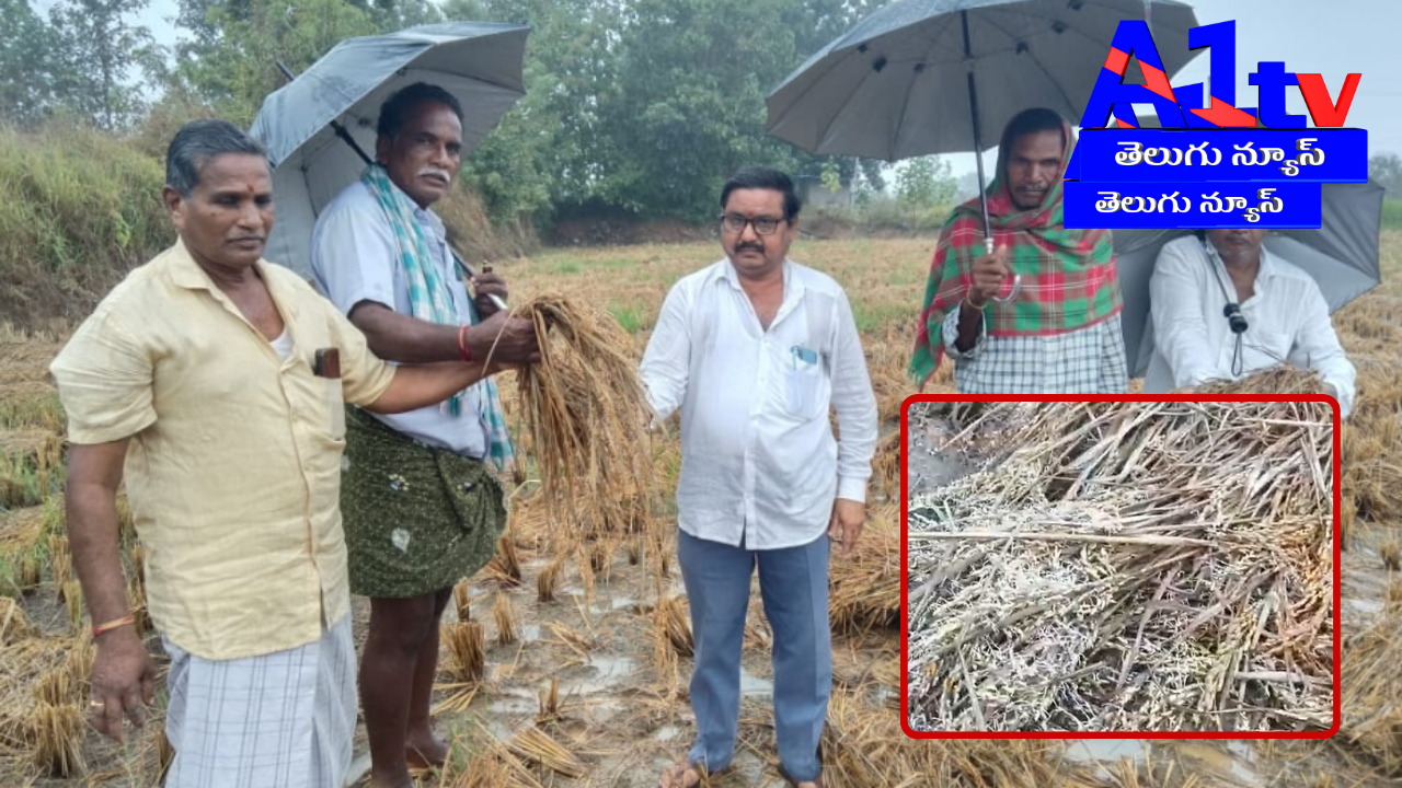 The AP Farmers' Union has requested the government to purchase germinating rice due to unexpected rains. They seek exemptions in procurement rules to protect affected farmers.