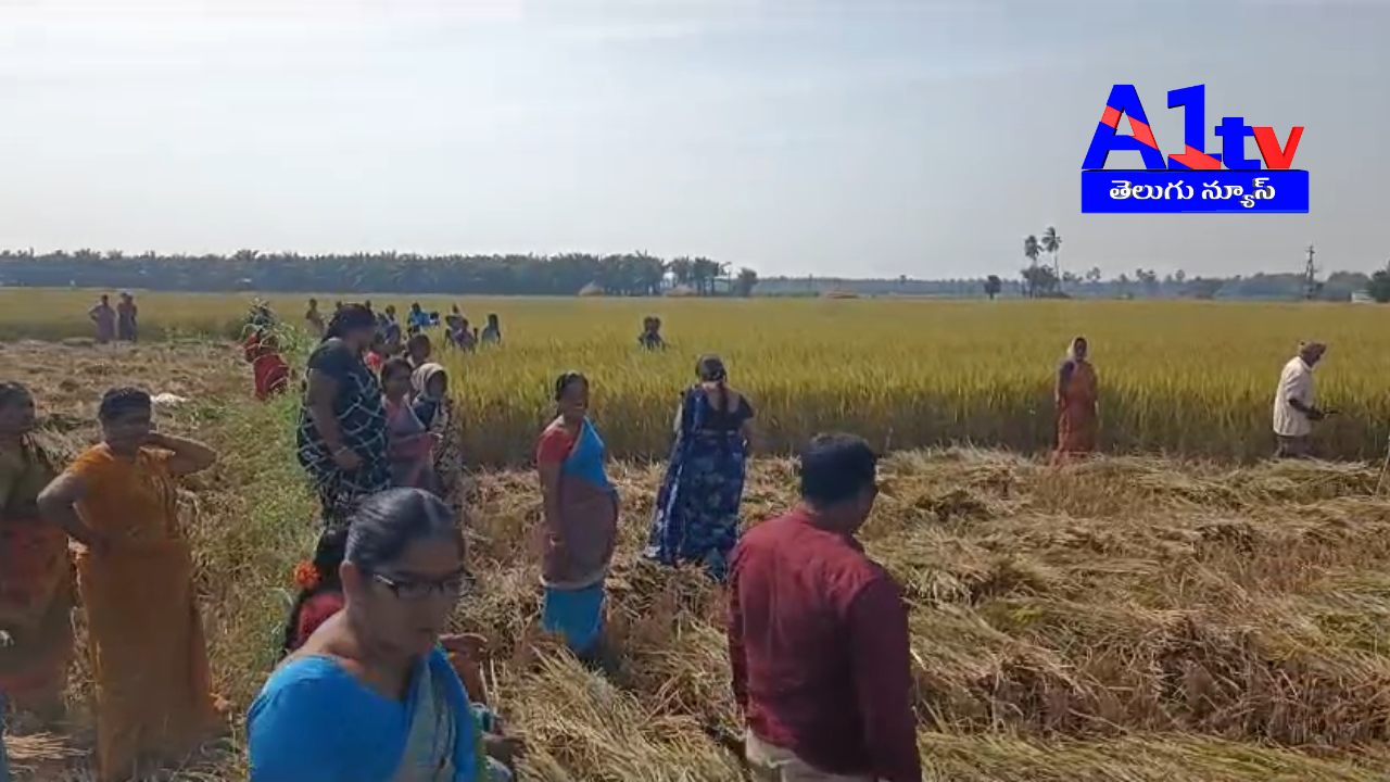Kuruma community seeks justice over temple land in Lingapalem, alleging illegal registration by tenant Satish. Authorities urged to restore rightful ownership.