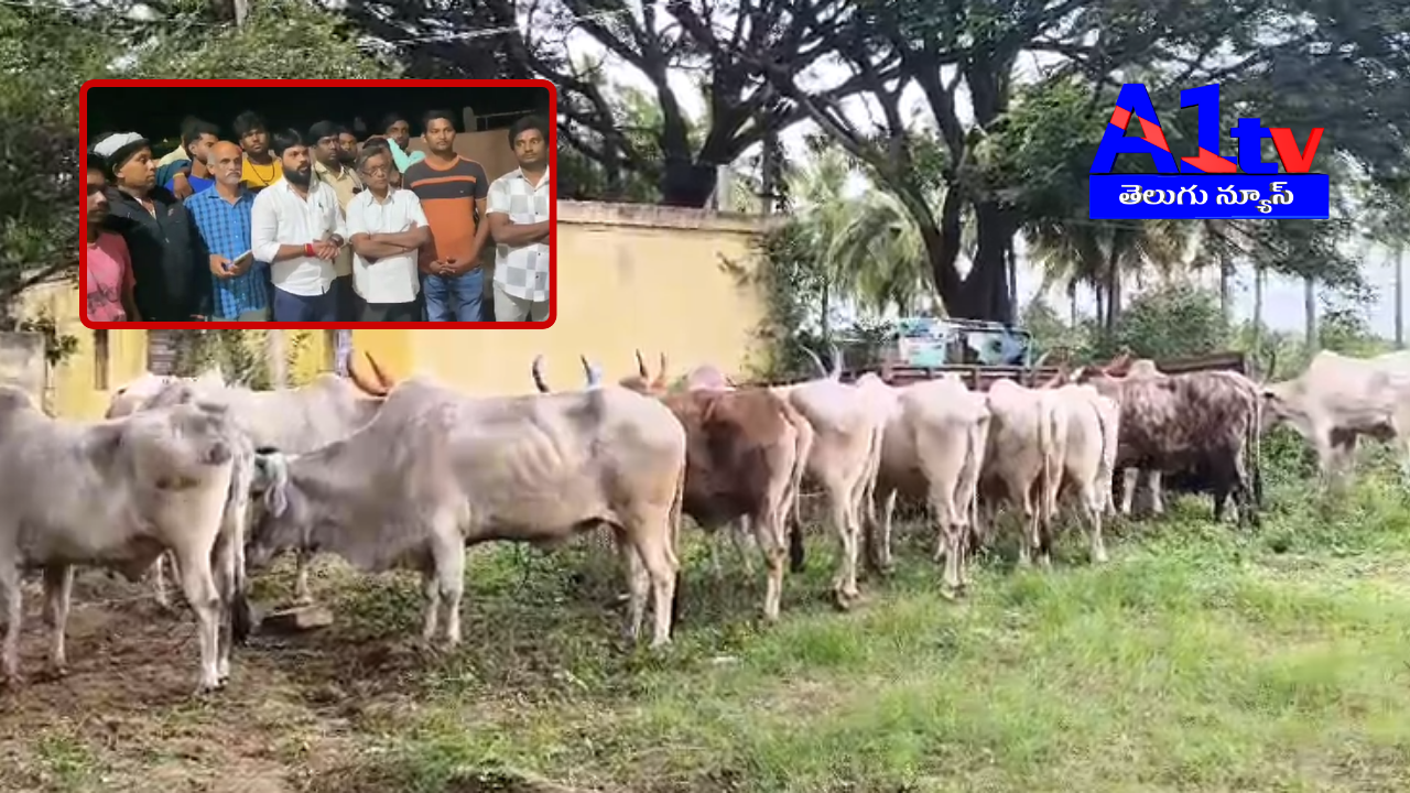 A gang illegally transporting 68 cattle was caught in Tambalapalli, and the police have registered an FIR. The cattle were handed over to the local Goshalas.