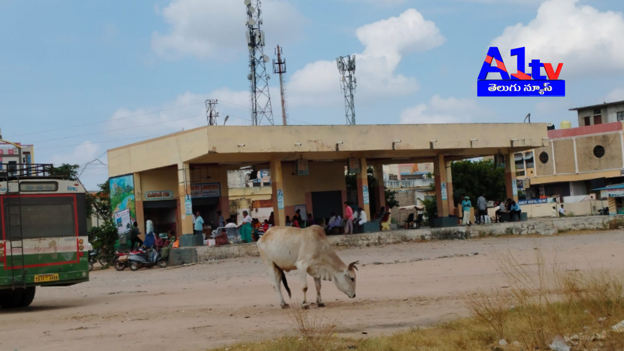 Aija, now a municipality, faces travel issues despite its growth as a business hub. Locals demand better transport facilities and a bus depot.