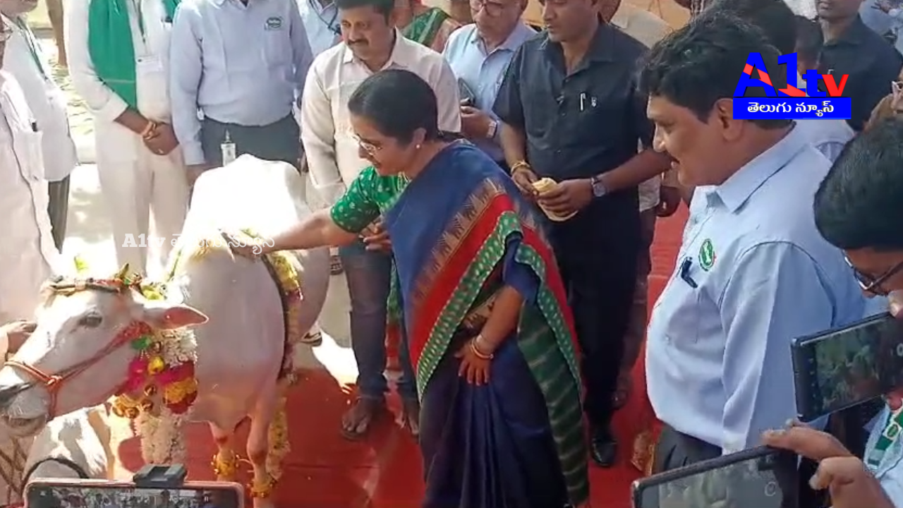 Nara Bhuvaneshwari attended the Dairy Farmers' Conference and inaugurated the event with a cow pooja.