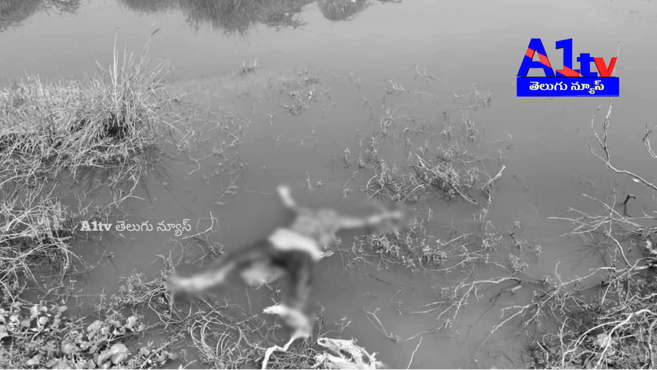 A young woman's body was found suspiciously in Pambaleru stream near Gudur. Police and revenue officials launched a search operation.