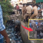 Fire personnel safely rescued a buffalo from a drain in Amalapuram after locals alerted them, ensuring a successful rescue operation.
