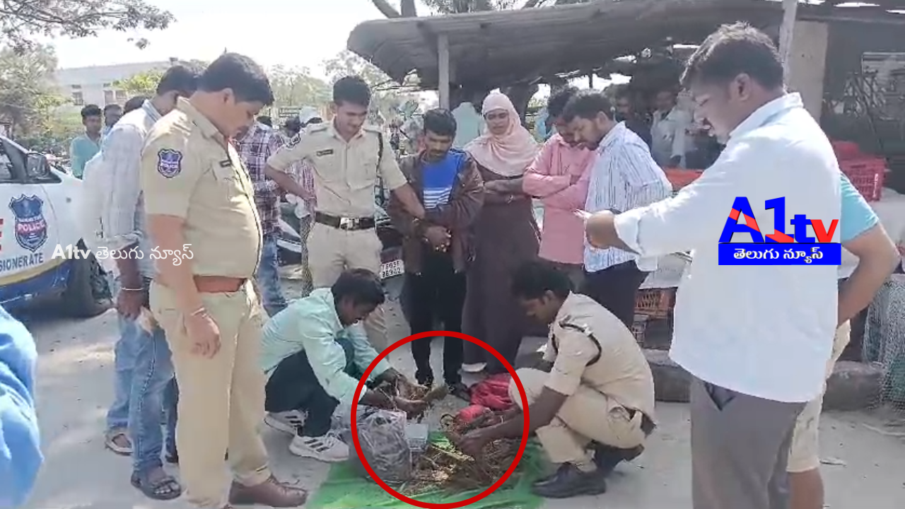 Police seized 2.5 kgs of dried ganja in Rayaparthi Mandal, arrested a person from Odisha, and began an investigation.