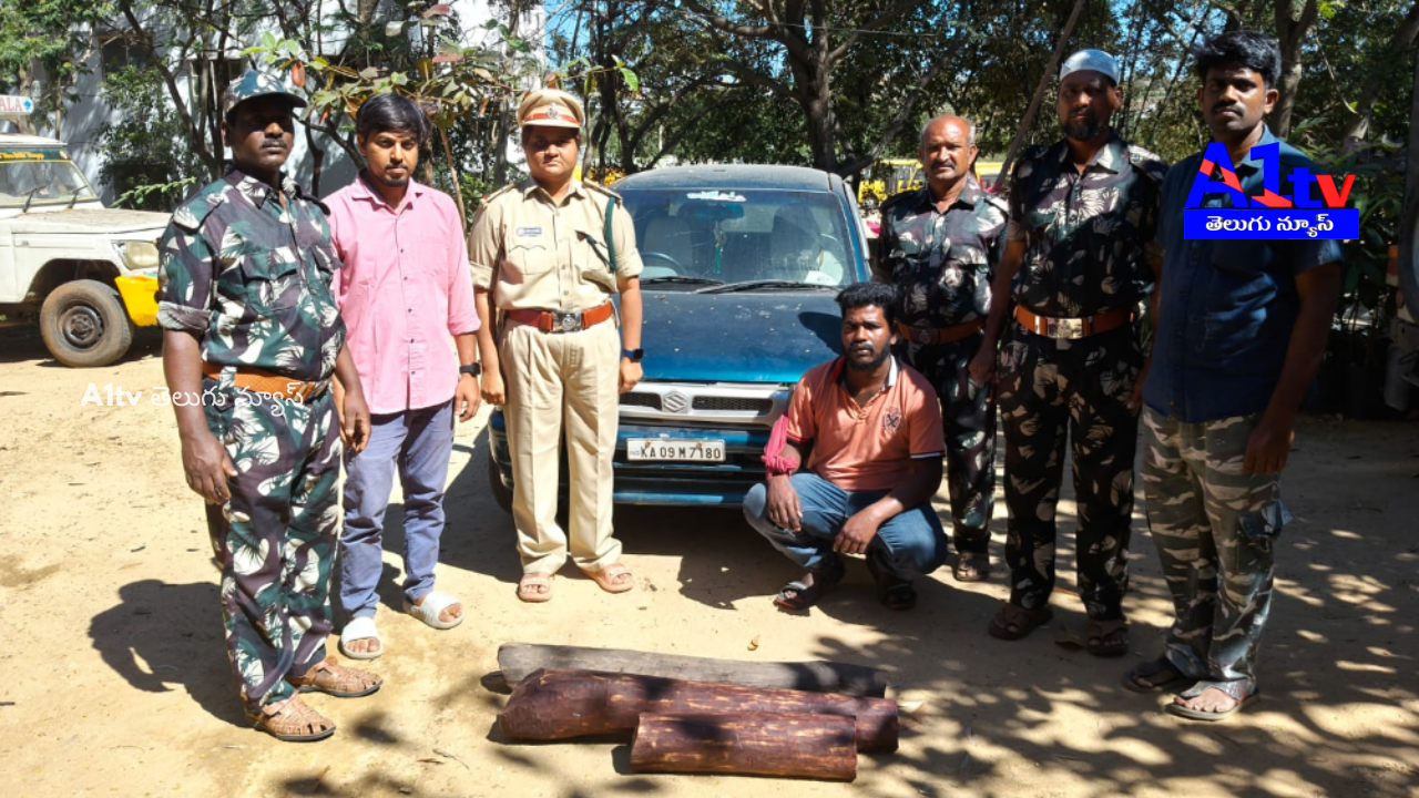 Pileru Forest Department arrested a Tamil Nadu-based smuggler and seized red sandalwood logs and a vehicle.
