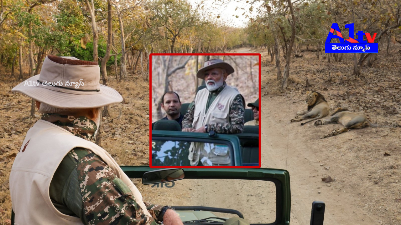 On World Wildlife Day, PM Modi went on a lion safari in Gujarat’s Gir Forest and spoke about Asiatic lion conservation.