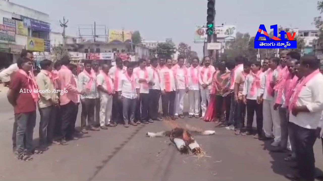BRS leaders in Kamareddy burned CM Revanth Reddy’s effigy, protesting against Jagadish Reddy's suspension.