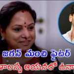 In an interview, Kavitha praised Jagan as a fighter and slammed Pawan as unserious. She made bold statements on Andhra politics.