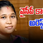 YSRCP woman activist Krishna Veni posted false allegations on Nara Lokesh and Venkaiah Naidu, leading to a 14-day remand by Gurjala court.