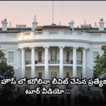 Carolina Levitt gave an inside tour of the White House, showcasing her room, colleagues, and furniture in a viral video. The tour gives a rare glimpse of the interiors.