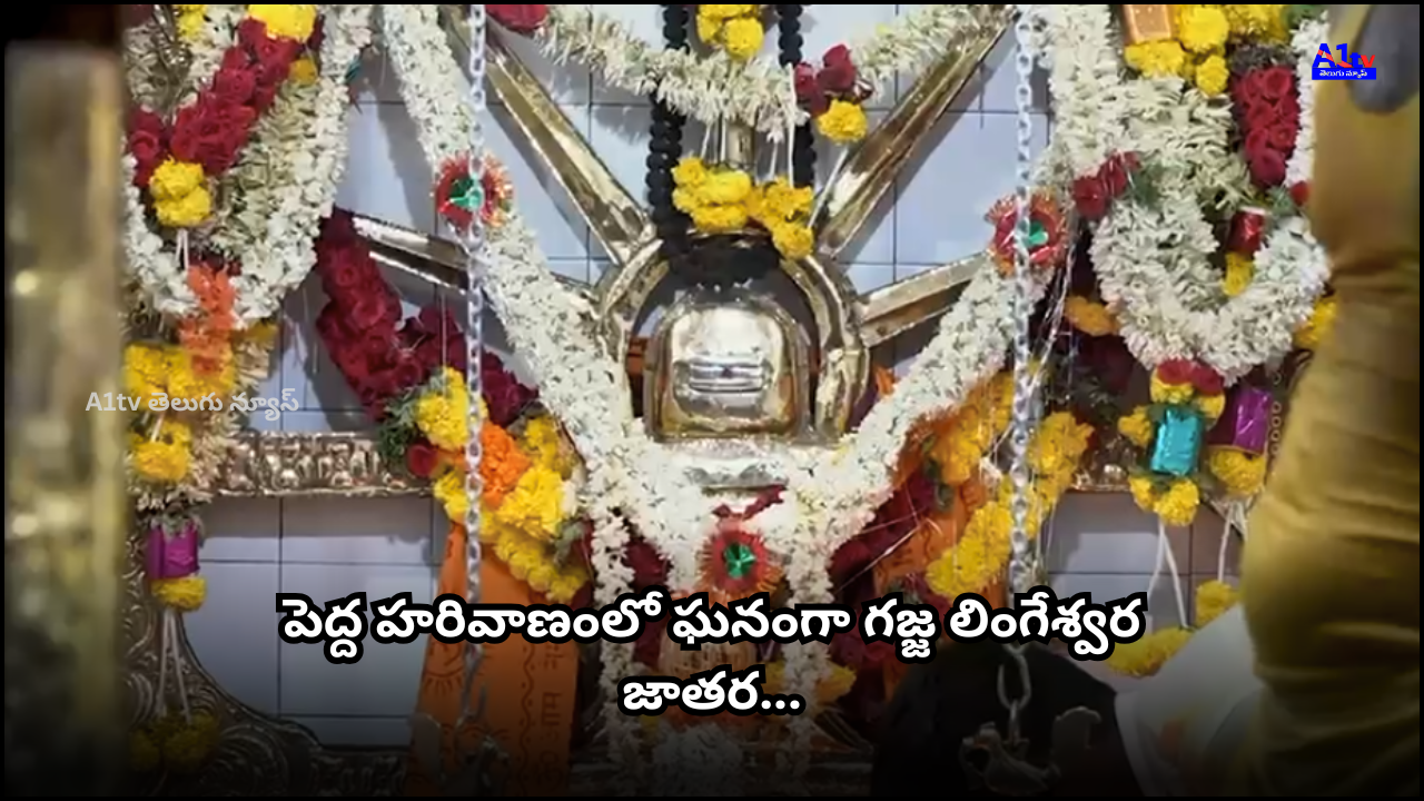 The Gajja Lingeshwara Jatara was celebrated grandly in Pedda Harivanam. MLA Dr. Parthasarathi attended the event and conveyed his wishes to all devotees.