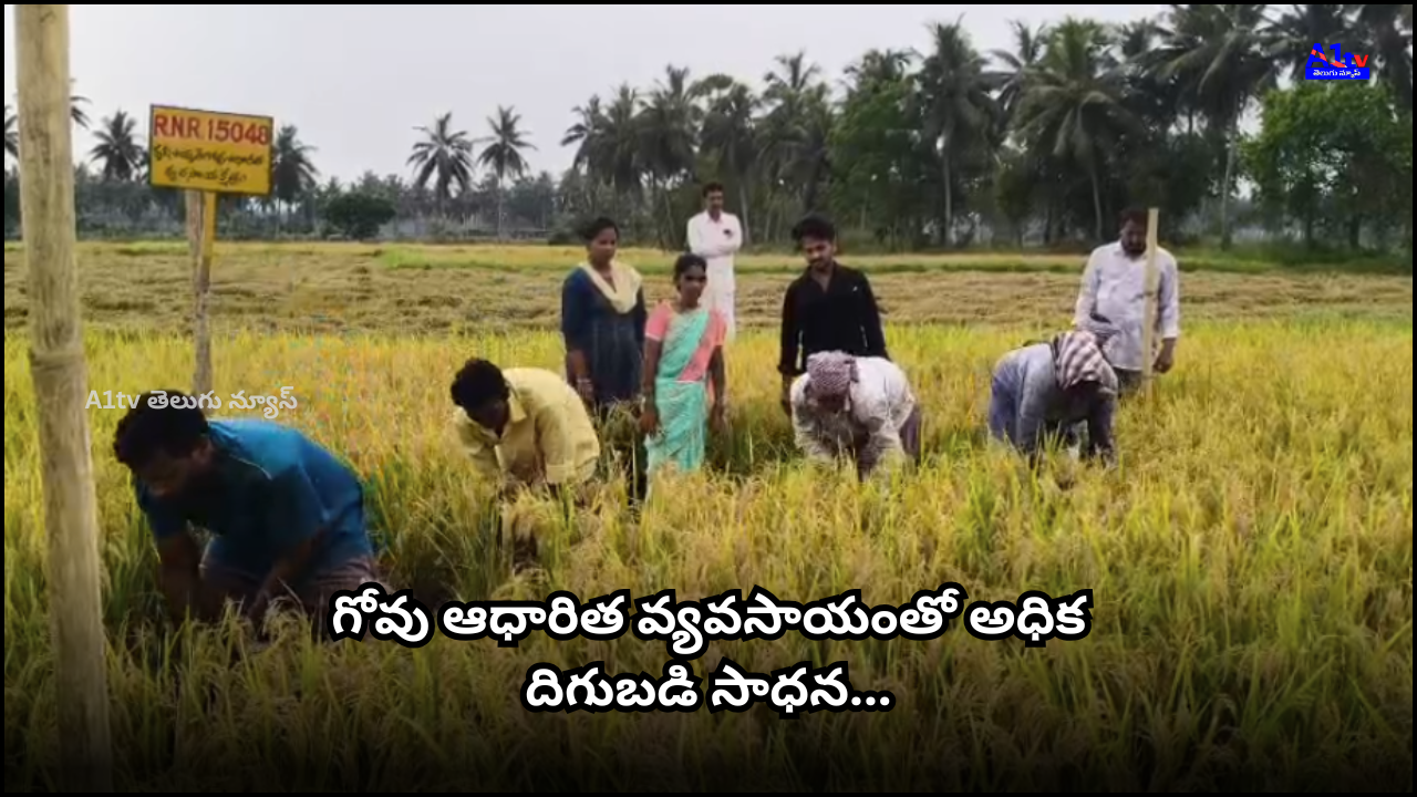 Farmers in P. Mallavaram achieved 24 bags per acre yield through cow-based natural farming, verified by agricultural officers during a harvest experiment.