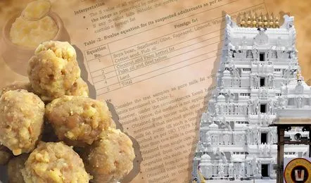 తిరుమల శ్రీవారి లడ్డూ ప్రసాదం తయారీకి ఉపయోగించే నెయ్యిలో జంతు కొవ్వులు, చేప నూనె వంటి కల్తీ ఘటన దేశవ్యాప్తంగా తీవ్ర కలకలం రేపింది.ఈ కేసు దర్యాప్తు ఇప్పుడు మరింత వేగంగా సాగుతోంది. టీటీడీ ఉన్నతాధికారులు మరియు నెయ్యి సరఫరాదారులు ప్రత్యేక దర్యాప్తు బృందం (సిట్) దృష్టిలో ఉన్నారు. సిట్ తమ విచారణను ముమ్మరం చేస్తూ పూర్తి నిజాన్ని వెలికి తీయడానికి కృషి చేస్తున్నది.