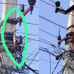 నాగుపాము వల్ల షార్ట్ సర్క్యూట్.. షాపు బూడిద!