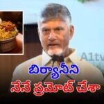 AP CM Chandrababu Naidu says he promoted Hyderabad Biryani globally