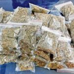 Customs officials seize ₹200 crore worth cannabis at Bengaluru airport