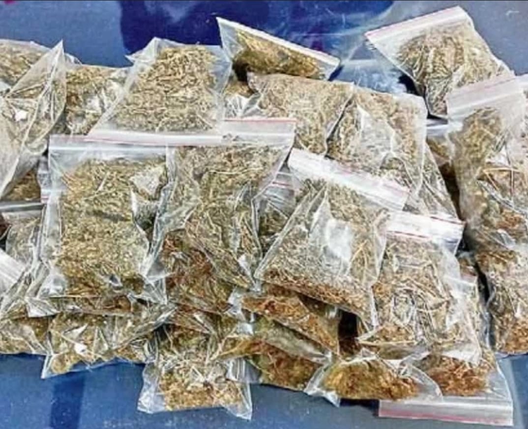 Customs officials seize ₹200 crore worth cannabis at Bengaluru airport