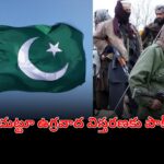 Pakistan planning terror bases near India in Bangladesh and Nepal