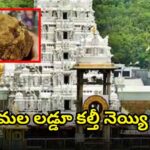 SIT investigation reveals ghee adulteration scam in TTD laddu preparation