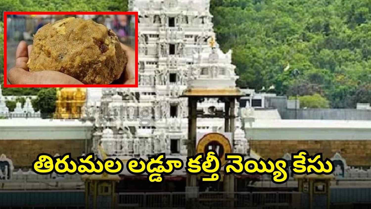 SIT investigation reveals ghee adulteration scam in TTD laddu preparation