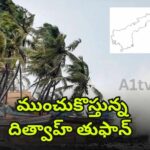 Cyclone Ditwah triggers heavy rain alerts across multiple districts in Andhra Pradesh