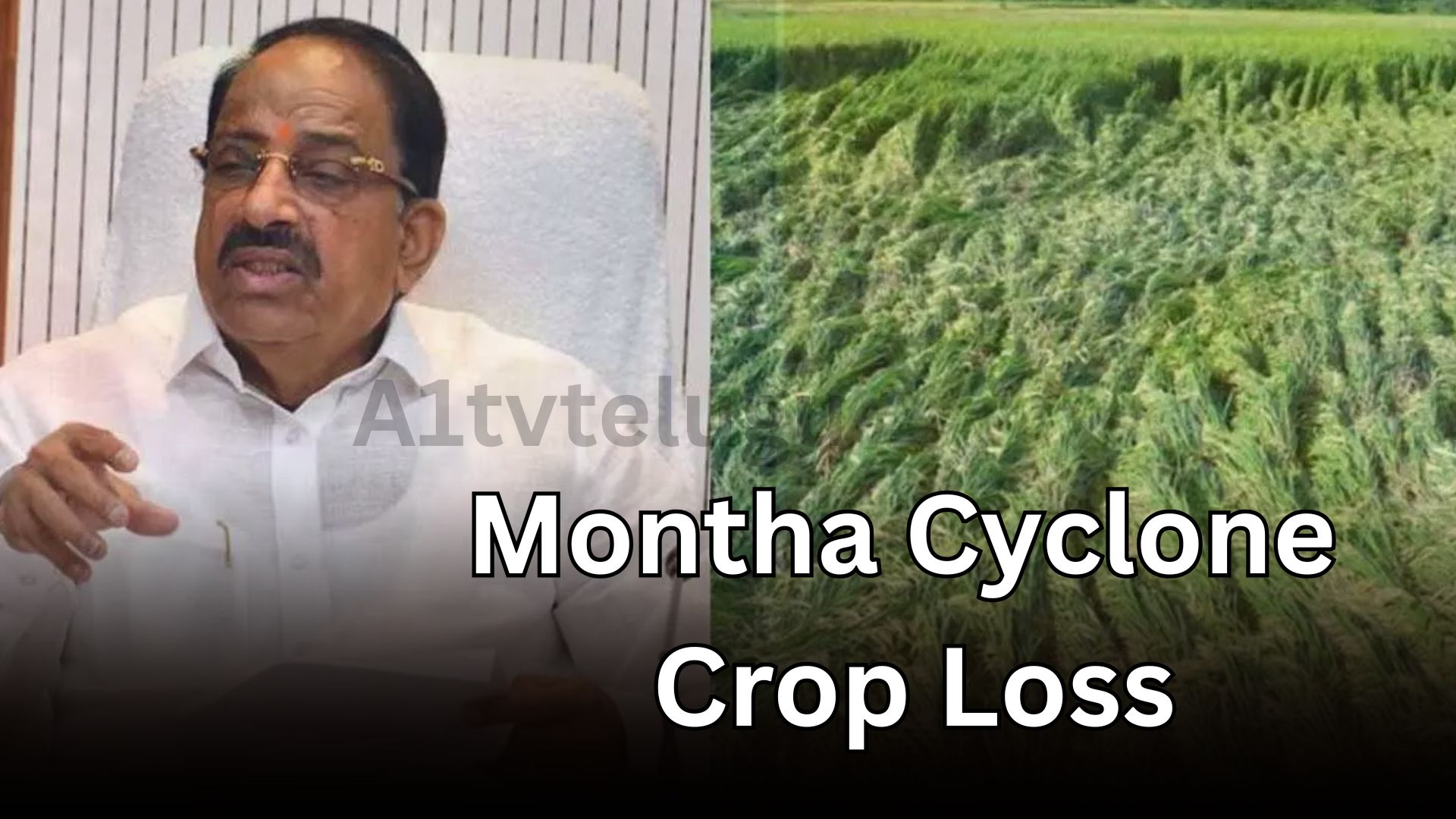 Telangana farmers face heavy crop loss due to Montha cyclone, with government assessing damage