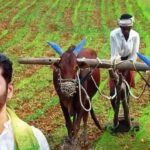 Telangana government releases ₹480 crore for welfare schemes including paddy bonus and LPG subsidy