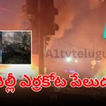 దిల్లీ ఎర్రకోట పేలుడు వెనుక ఉగ్ర కుట్ర