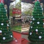 Beer bottle Christmas tree