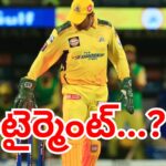 MS Dhoni during an IPL match for Chennai Super Kings