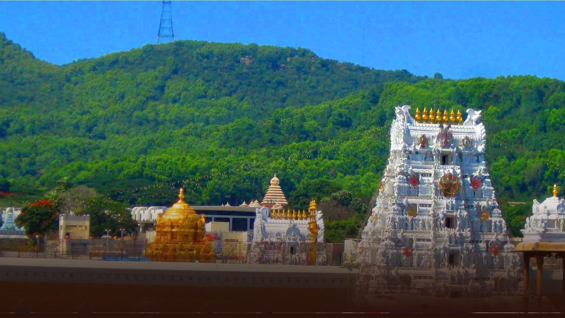 Minister Anam Narayana Reddy addressing media on TTD administration issues