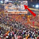 Stone carvings depicting tribal history at Medaram Sammakka Saralamma Jathara site