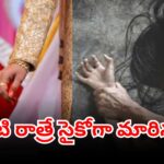 Tamil Nadu newlywed bride assaulted and confined by husband