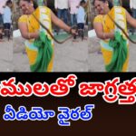 Woman Bitten by Snake While Catching It